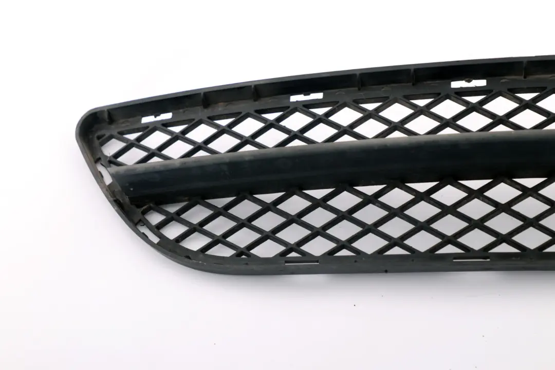 Grille De Pare-Chocs Avant BMW E90 E91 Center Grid  - SKU 7134074-1 - Numéro de pièce 7134074