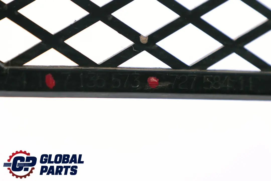 BMW 7 Series E65 E66 E67 Front Bumper Lower Centre Mesh Grid Grille - SKU 7135573 - Part number 7135573