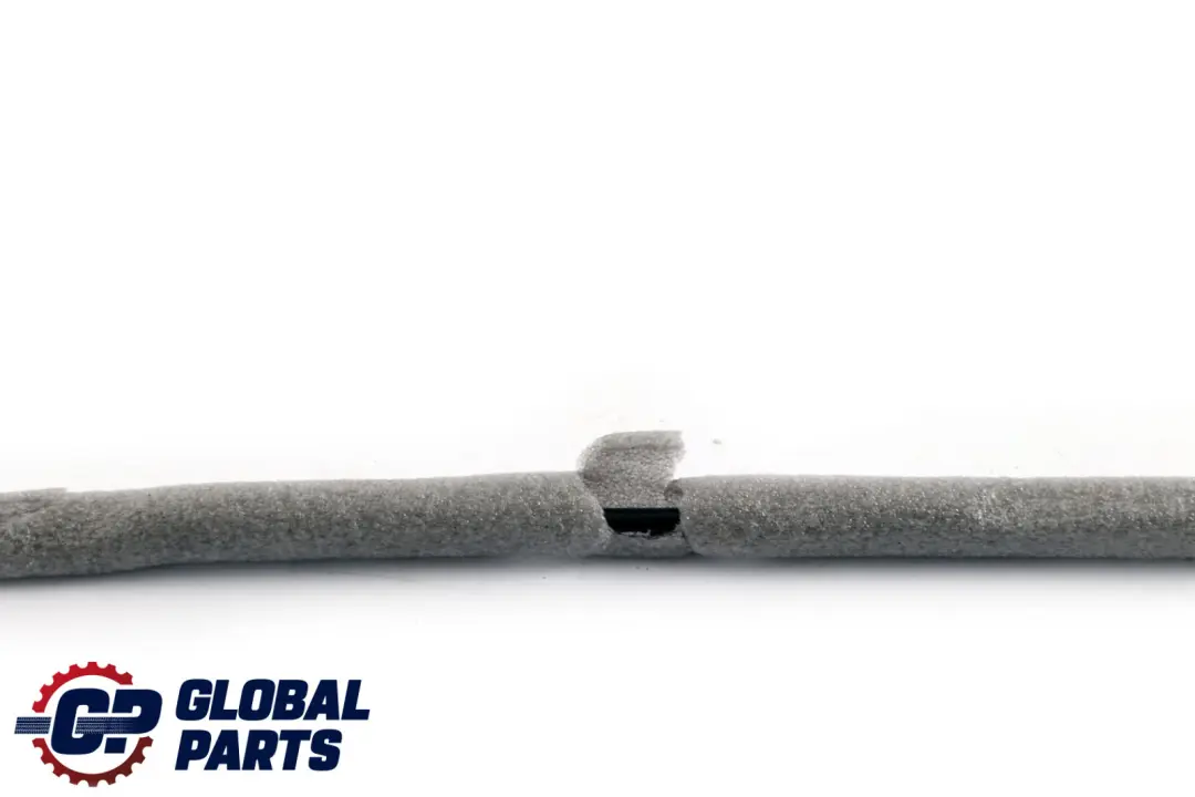 Cavo di Bowden Apriporta Posteriore per BMW X1 E70 con numero di parte 7137079 BMW X1 E70 Cavo di Bowden Apriporta Posteriore - SKU 7137079 - Numero di parte 7137079