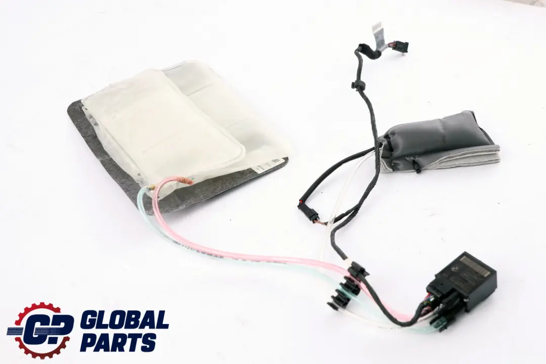 BMW 1 3 Series E81 E87 E90 E91 Front Seat Lordosis Pad Lumbar Support Pump - SKU 7138787 - Part number 7138787