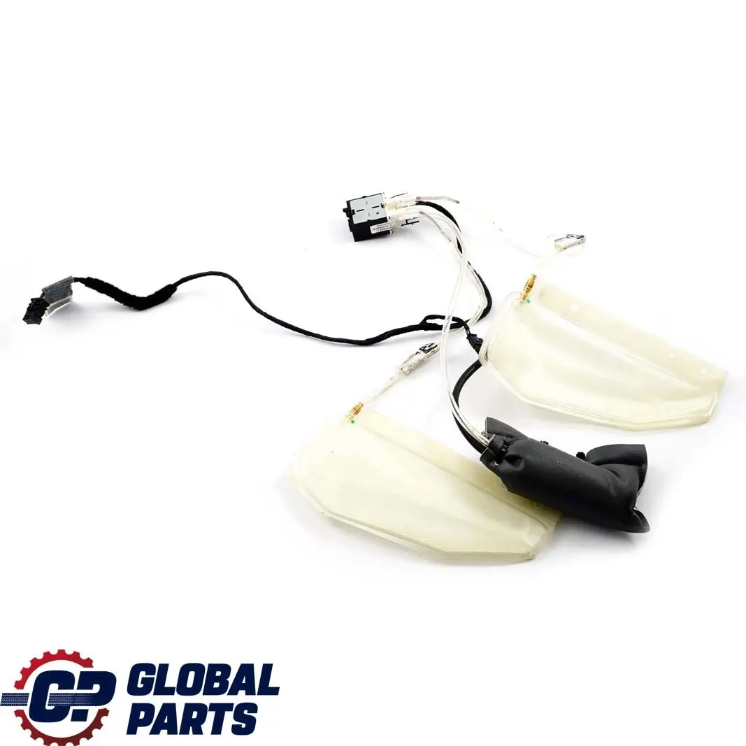 BMW E81 E87 E90 E91 E92 2 Sedile Posteriore Lordosenpumpe Lbv 7138788