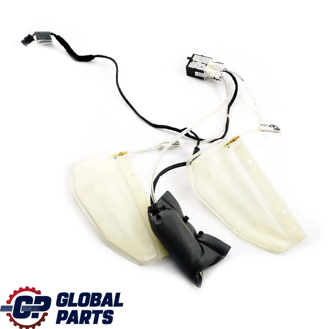 BMW E81 E87 E90 E91 E92 2 Sedile Posteriore Lordosenpumpe Lbv - SKU 7138788-2 - Numero di parte 7138788