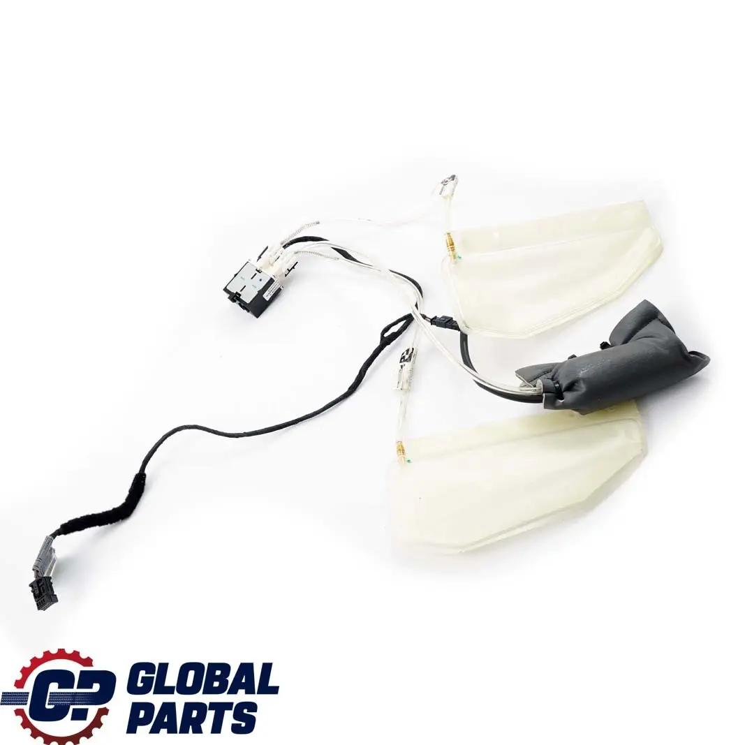 BMW E81 E87 E90 E91 E92 2 Sedile Posteriore Lordosenpumpe Lbv - SKU 7138788-2 - Numero di parte 7138788