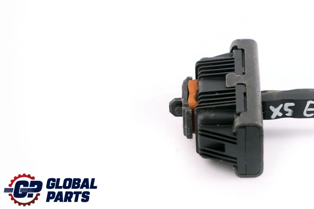 BMW X5 X6 E70 E71 Charnière Frein Porte Avant Gauche Droite - SKU 7141024 - Numéro de pièce 7141024