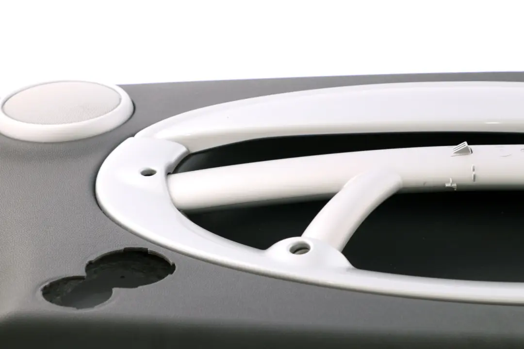 Türverkleidung Dekor Anthrazit vorn links Panther Black für BMW Mini R50 R53 mit Teilenummer 7141269 BMW Mini R50 R53 Türverkleidung Dekor Anthrazit vorn links Panther Black - SKU 7141269-1 - Teilenummer 7141269