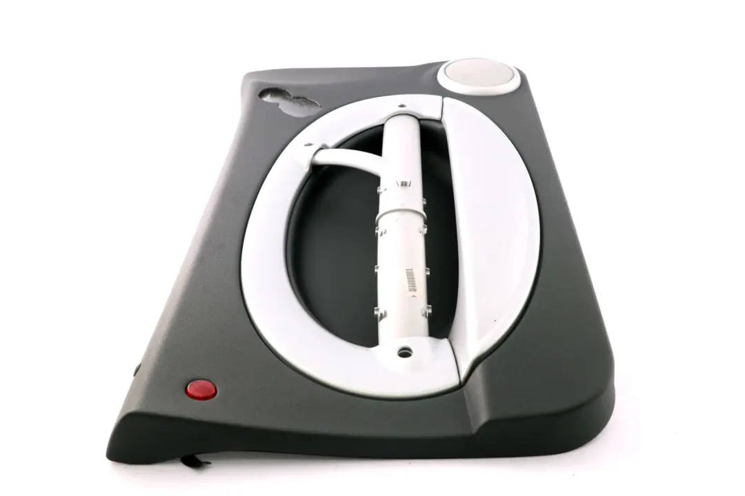Mini R50 R53 Pannello Porta Decorazione Antracite Davanti SX Panther Black - SKU 7141269-1 - Numero di parte 7141269