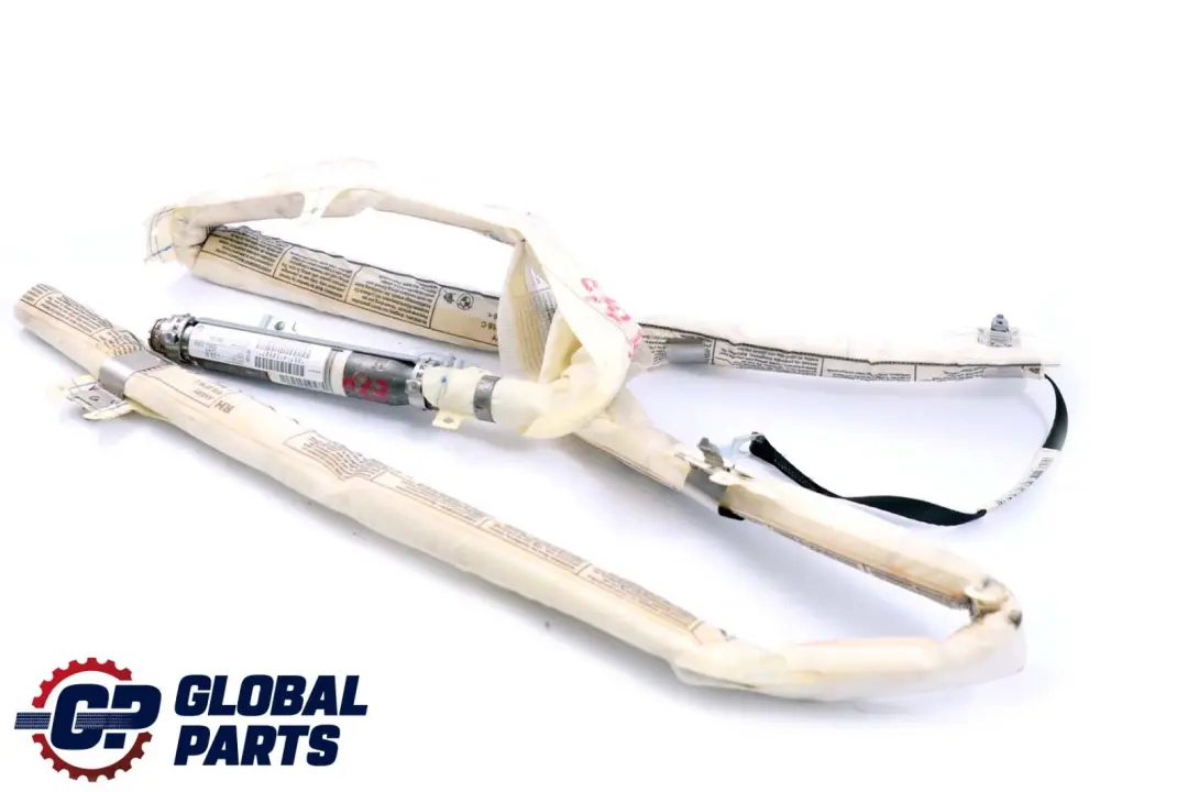 Cortina De Techo BMW X5 E70 Derecha Cabeza Módulo De Aire - SKU 7141508 - Número de pieza 7141508