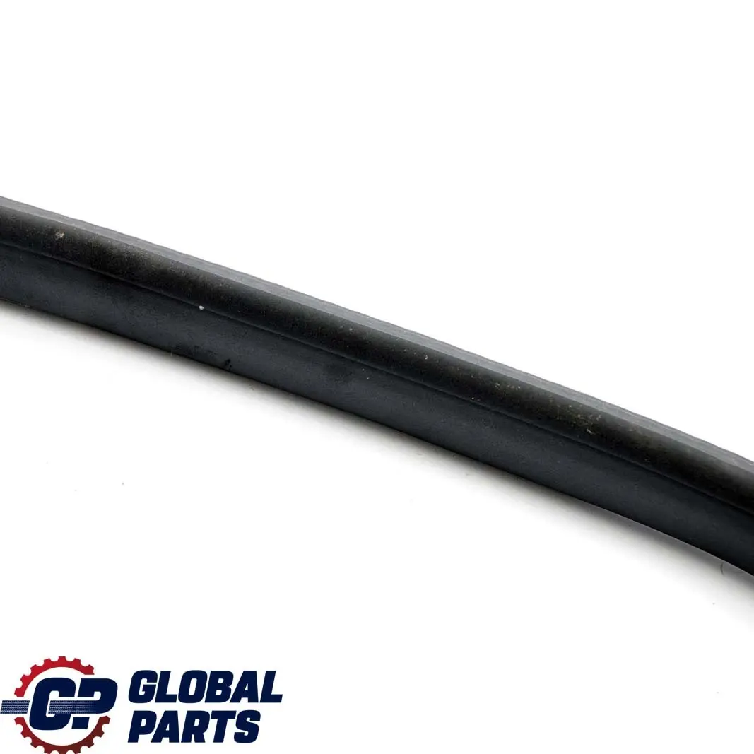 Techo Plegable Tapa Trasera Izquierda Junta Junta Tira para BMW Z4 E89 con número de pieza 7149455 BMW Z4 E89 Techo Plegable Tapa Trasera Izquierda Junta Junta Tira - SKU 7149455 - Número de pieza 7149455