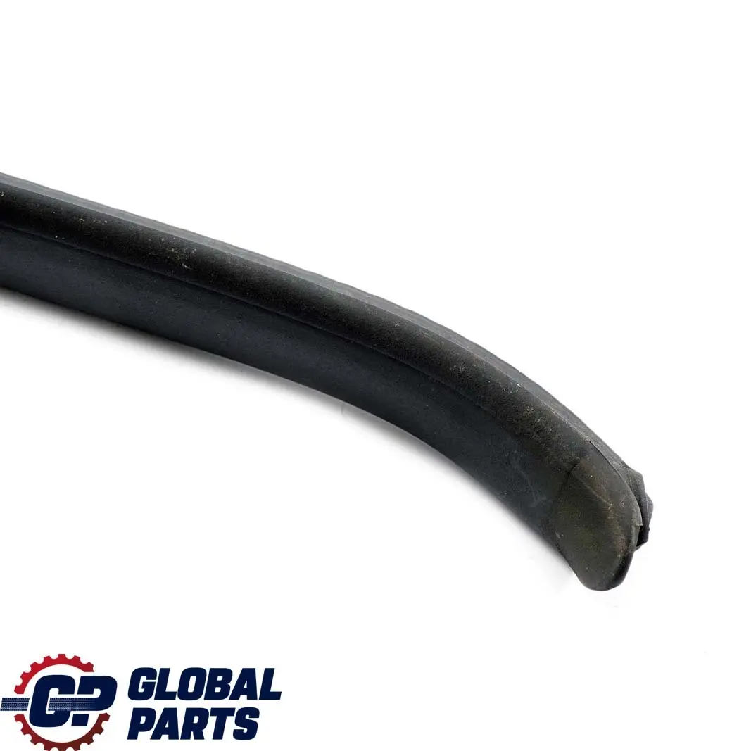 Tetto Pieghevole Guscio Posteriore Sinistro Guarnizione Striscia per BMW Z4 E89 con numero di parte 7149455 BMW Z4 E89 Tetto Pieghevole Guscio Posteriore Sinistro Guarnizione Striscia - SKU 7149455 - Numero di parte 7149455