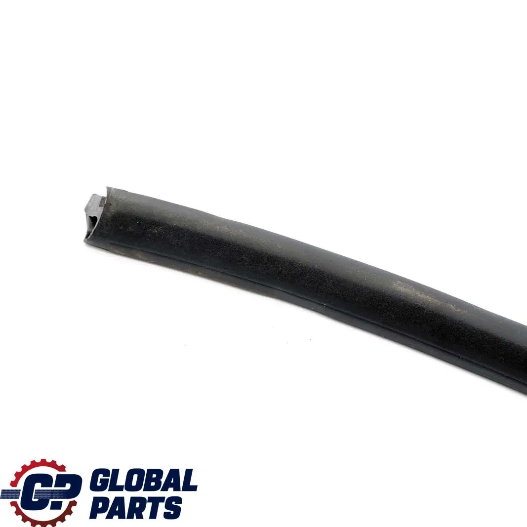 BMW Z4 E89 Folding Top Roof Rear Shell Right O/S Seal Gasket Strip - SKU 7149456 - Part number 7149456