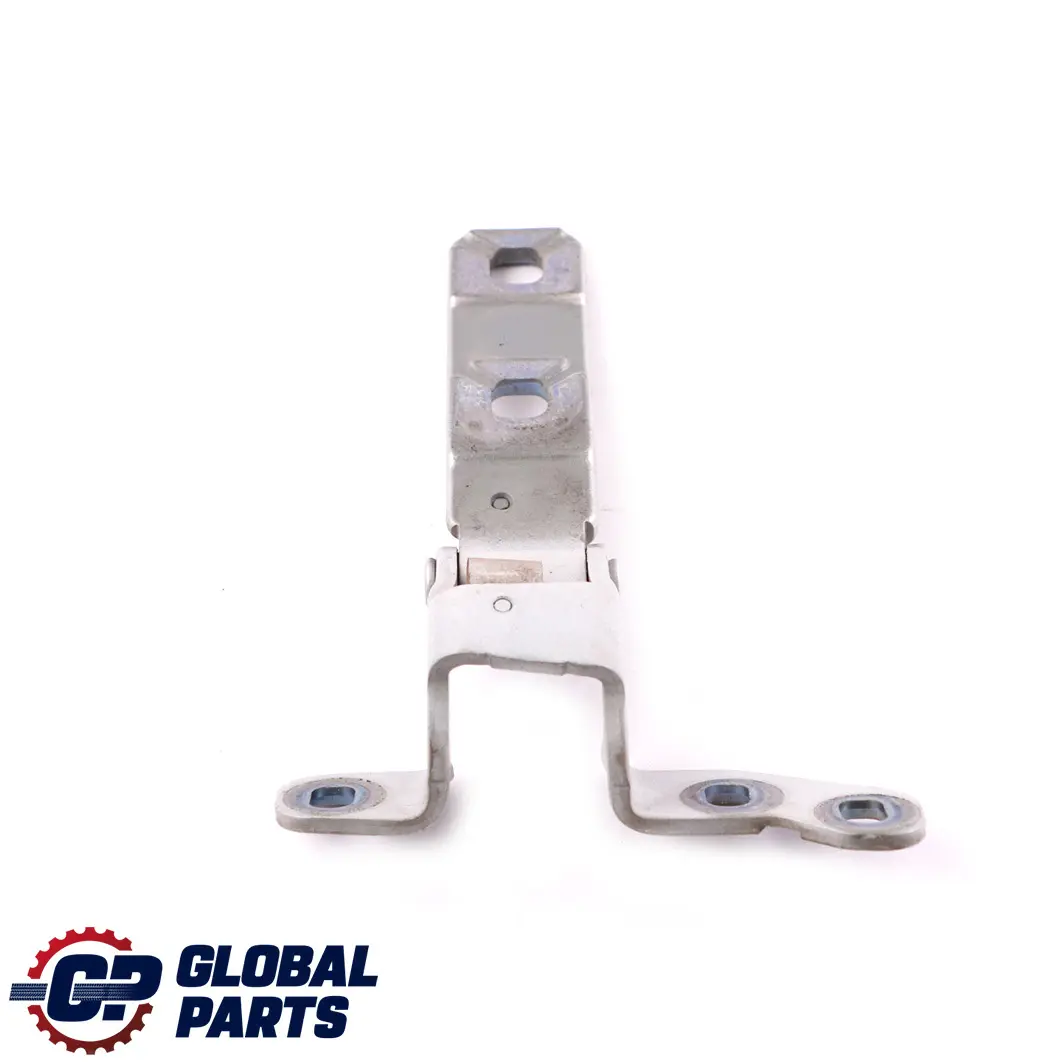 Portabagagli, portellone cerniera superiore Titansilbero Argento per BMW X5 E70 con numero di parte 7149628 BMW X5 E70 Portabagagli, portellone cerniera superiore Titansilbero Argento - SKU 7149628-TS - Numero di parte 7149628