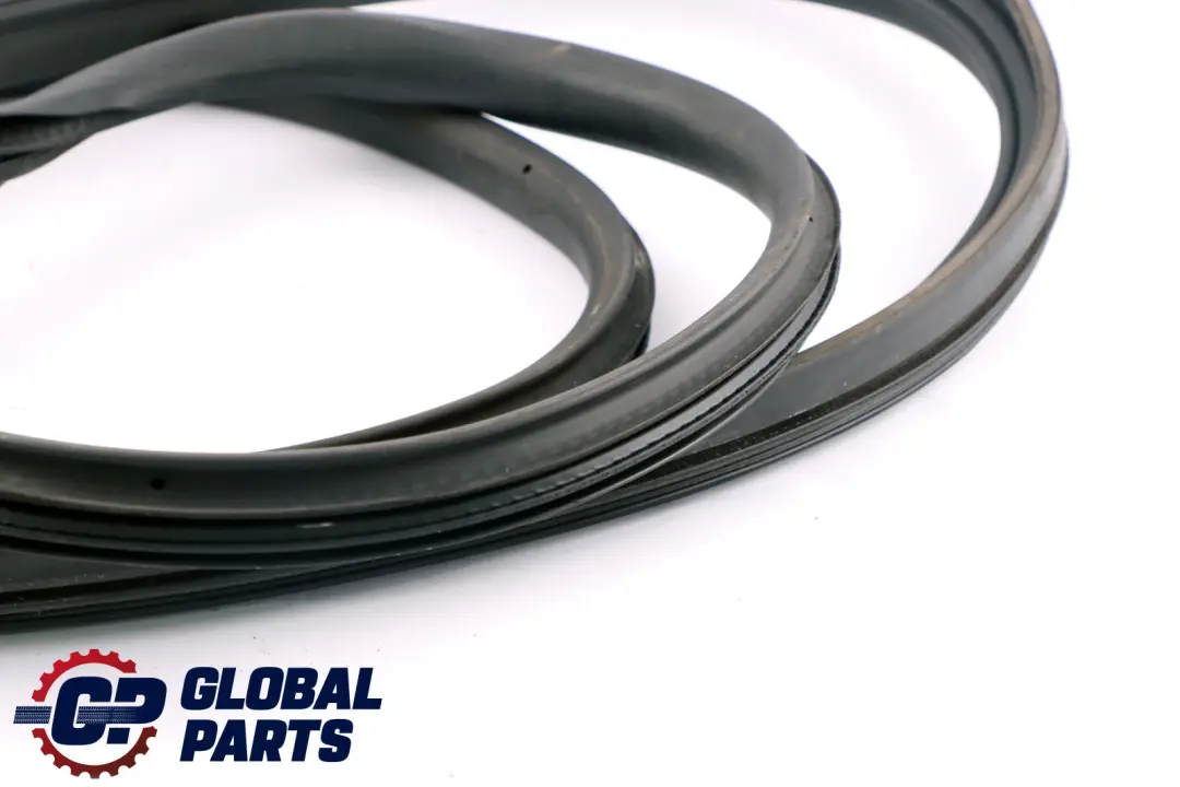 Mini Cooper One R50 R56 R53 Chiusura Ermetica Porta SX 5176 - SKU 7151383 - Numero di parte 7151383