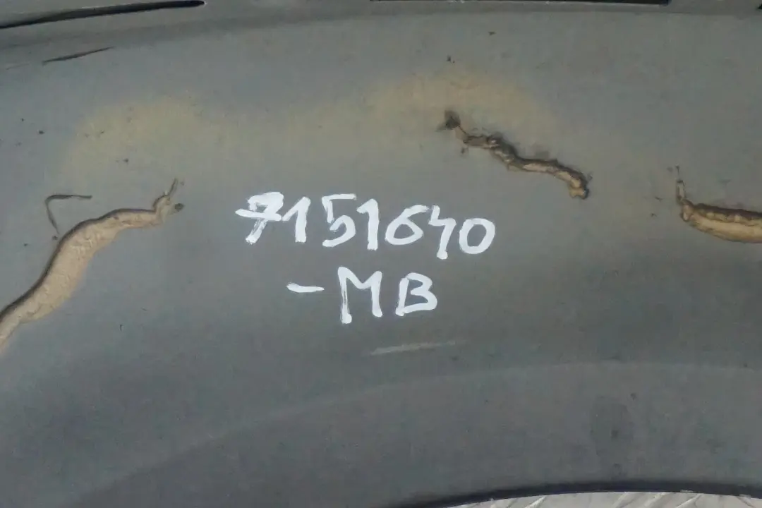 Błotnik prawy tył tylny Monacoblau do BMW E85 Z4 o numerze 7151640 BMW E85 Z4 Błotnik prawy tył tylny Monacoblau - SKU 7151640-MB - Numer Części 7151640