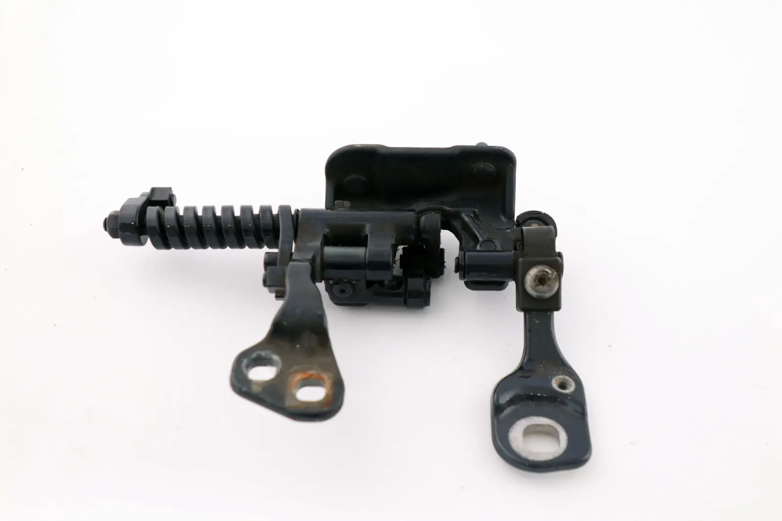 BMW E91 Cerniera coperchio baule posteriore destro Monacoblau 7119042