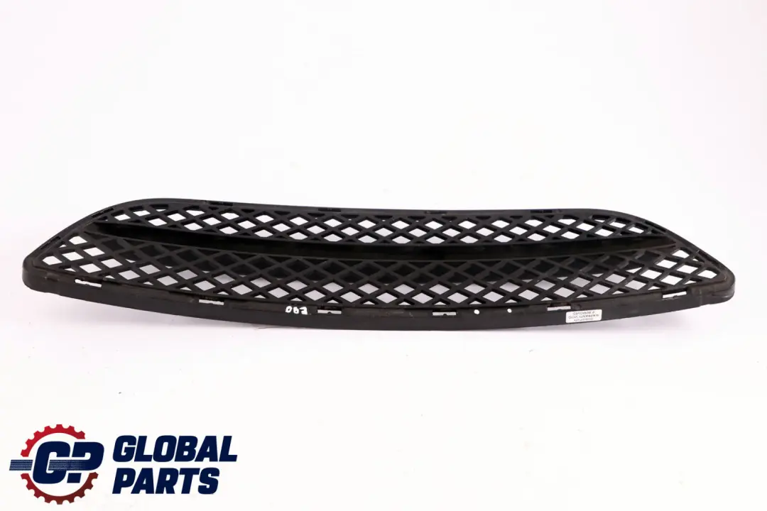Grid Grille Centre Bumper Front Partly Closed to BMW 3 Series E90 E91 LCI with Part number 8047365 BMW 3 Series E90 E91 LCI Grid Grille Centre Bumper Front Partly Closed - SKU 7154555 - Part number 8047365