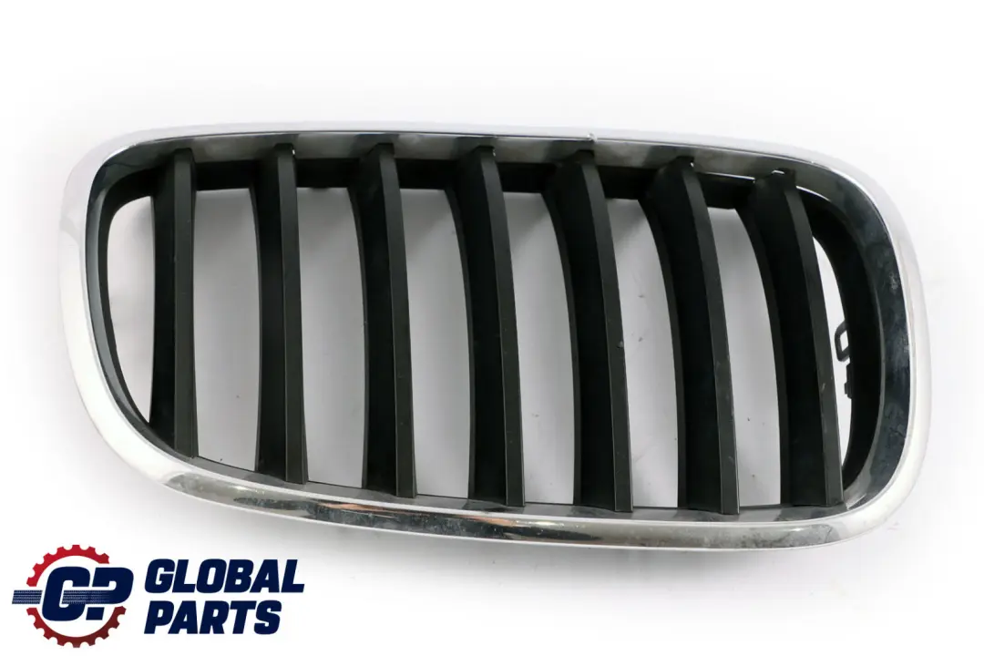 Atrapa Grill Kratka Prawa do BMW X5 E70 o numerze 7157688 BMW X5 E70 Atrapa Grill Kratka Prawa - SKU 7157688 - Numer Części 7157688