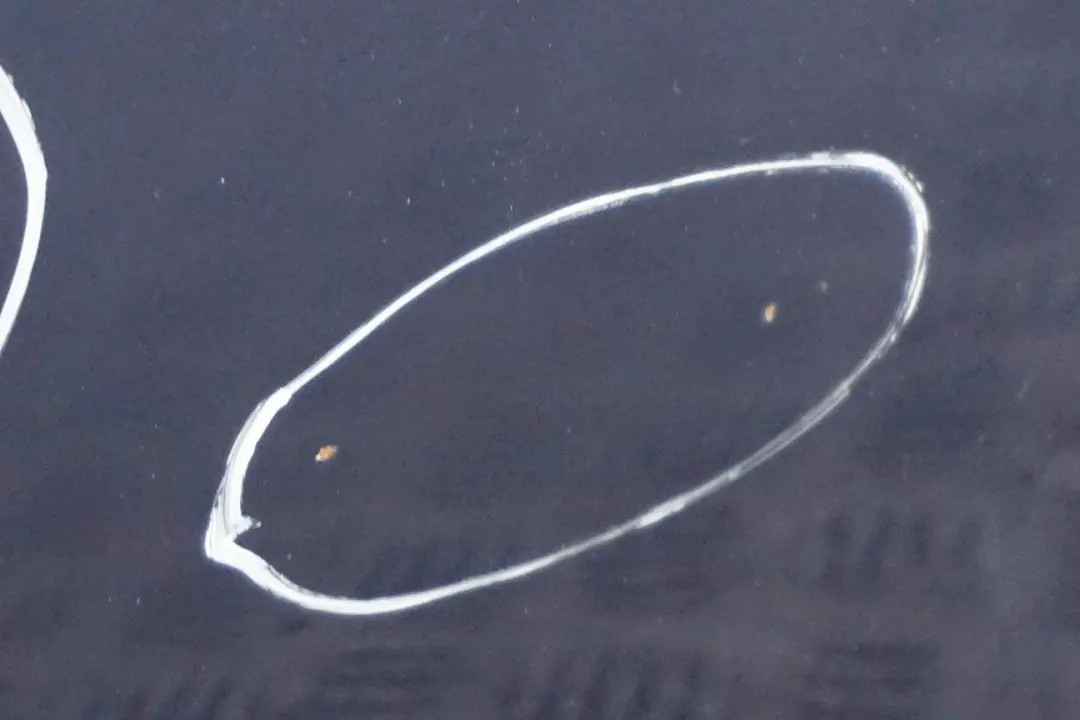 BMW E61 Touring Porta Posteriore Sinistra Blu Acque Profonde Metallico - - SKU 7158501-DSB - Numero di parte 7158501