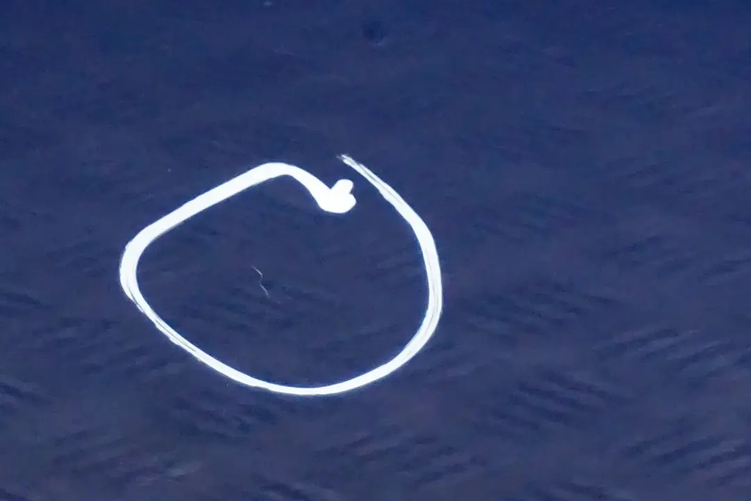 Door Rear Left N/S Le Mans Blau Blue Metallic - 381 to BMW 5 Series E61 Touring with Part number 7158501 BMW 5 Series E61 Touring Door Rear Left N/S Le Mans Blau Blue Metallic - 381 - SKU 7158501-LMB - Part number 7158501