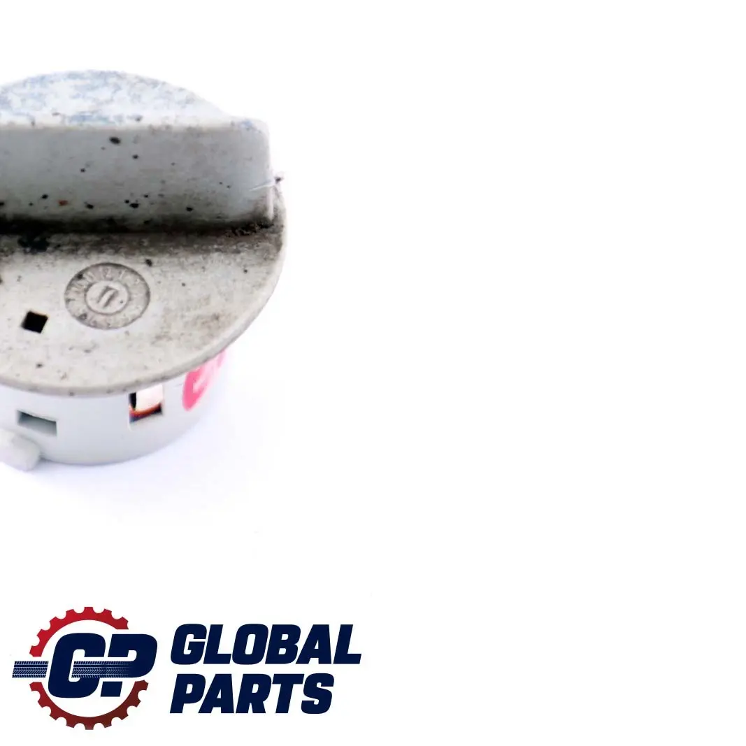 BMW E90 E91 F30 F31 Socket Lampada Indicatore Luce Grigio - SKU 7159570-1 - Numero di parte 7159570