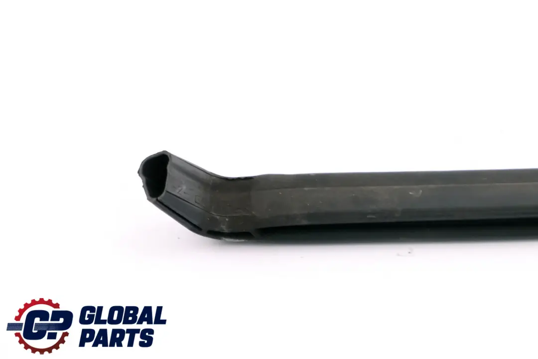 Cofano Guarnizione Lembo Anteriore Sinistra per BMW E90 E91 con numero di parte 7159607 BMW E90 E91 Cofano Guarnizione Lembo Anteriore Sinistra - SKU 7159607 - Numero di parte 7159607