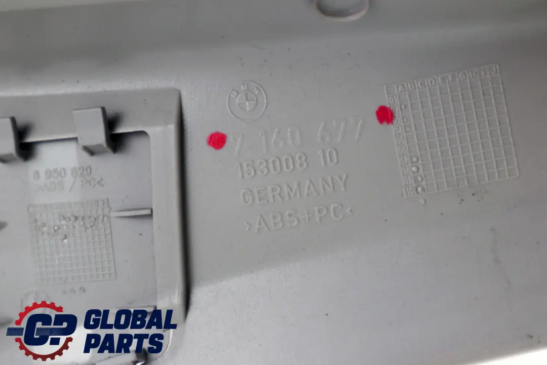 BMW 3 Series E91 E91N LCI Door Sill Strip Cover Rear Column D Grau Grey Left N/S - SKU 7160677 - Part number 9151705