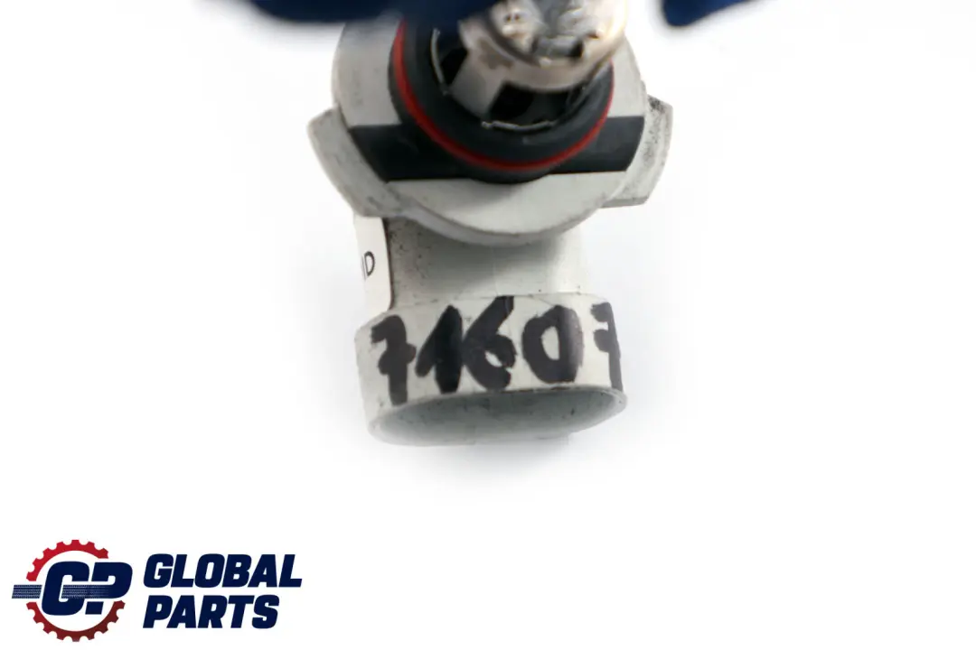 Socket Lampada HB3 12V 60W per BMW X5 3 E24 E34 E36 E39 E30 E53 con numero di parte 7160785 BMW X5 3 E24 E34 E36 E39 E30 E53 Socket Lampada HB3 12V 60W - SKU 7160785 - Numero di parte 7160785