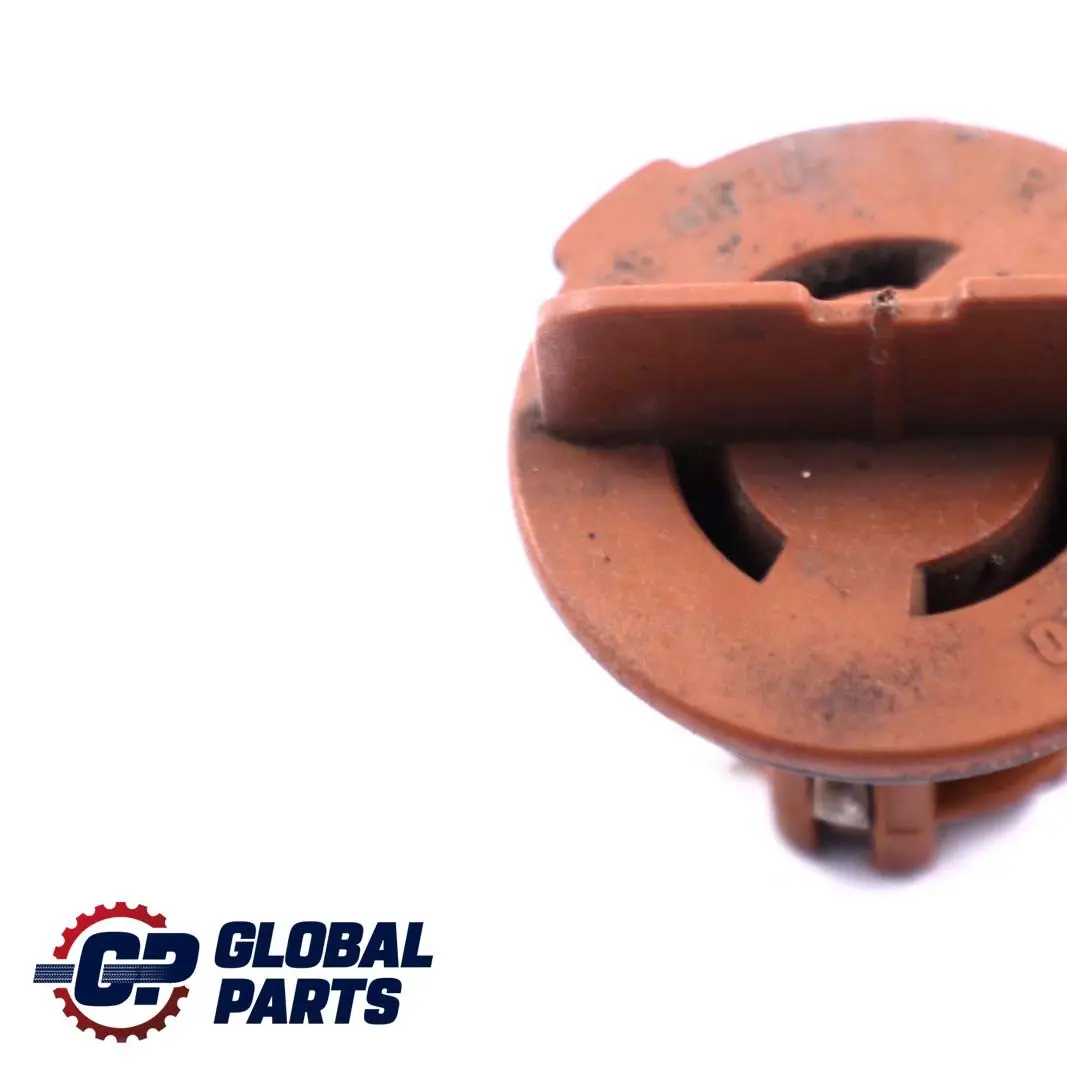 Portalamparas Intermitente para BMW E53 E60 E65 E81 E87 E90 E91 con número de pieza 7160897 BMW E53 E60 E65 E81 E87 E90 E91 Portalamparas Intermitente - SKU 7160897-1 - Número de pieza 7160897