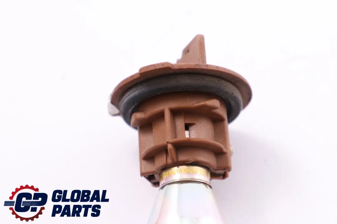 Blinker Glühbirne Silber für BMW X5 E53 E60 E61 E65 E81 E87 E90 E91 mit Teilenummer 7160897 BMW X5 E53 E60 E61 E65 E81 E87 E90 E91 Blinker Glühbirne Silber - SKU 7160897 - Teilenummer 7160897