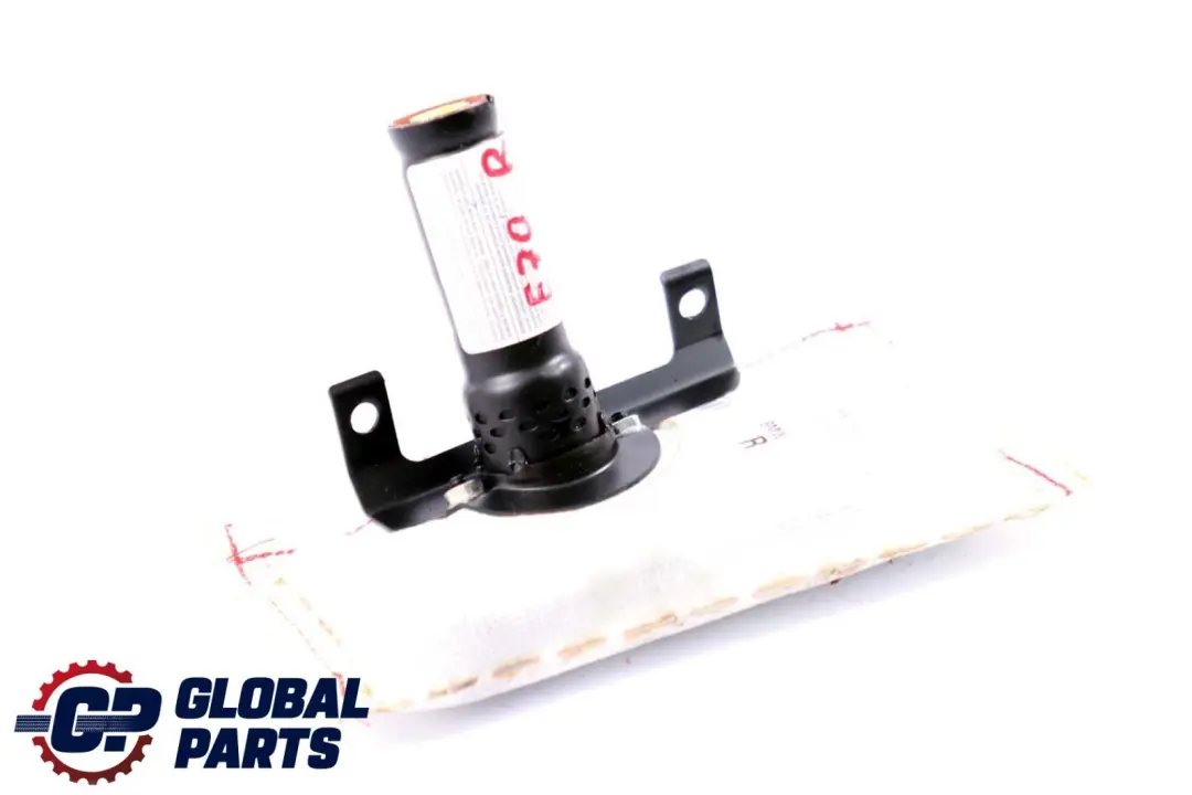 Airbag lateral asiento delantero derecho para BMW Serie X5 X6 E70 E71 con número de pieza 7161064 BMW Serie X5 X6 E70 E71 Airbag lateral asiento delantero derecho - SKU 7161064 - Número de pieza 7161064