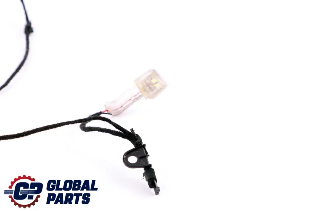 Eclairage Poignée Porte BMW E92 E92N E93 E93N LCI Droit À L'Éclairage  - SKU 7163512 - Numéro de pièce 7163512
