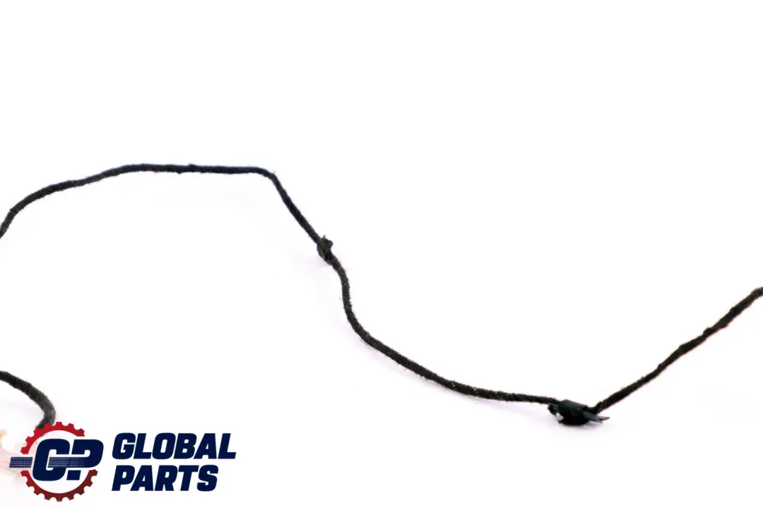 Eclairage Poignée Porte BMW E92 E92N E93 E93N LCI Droit À L'Éclairage  - SKU 7163512 - Numéro de pièce 7163512