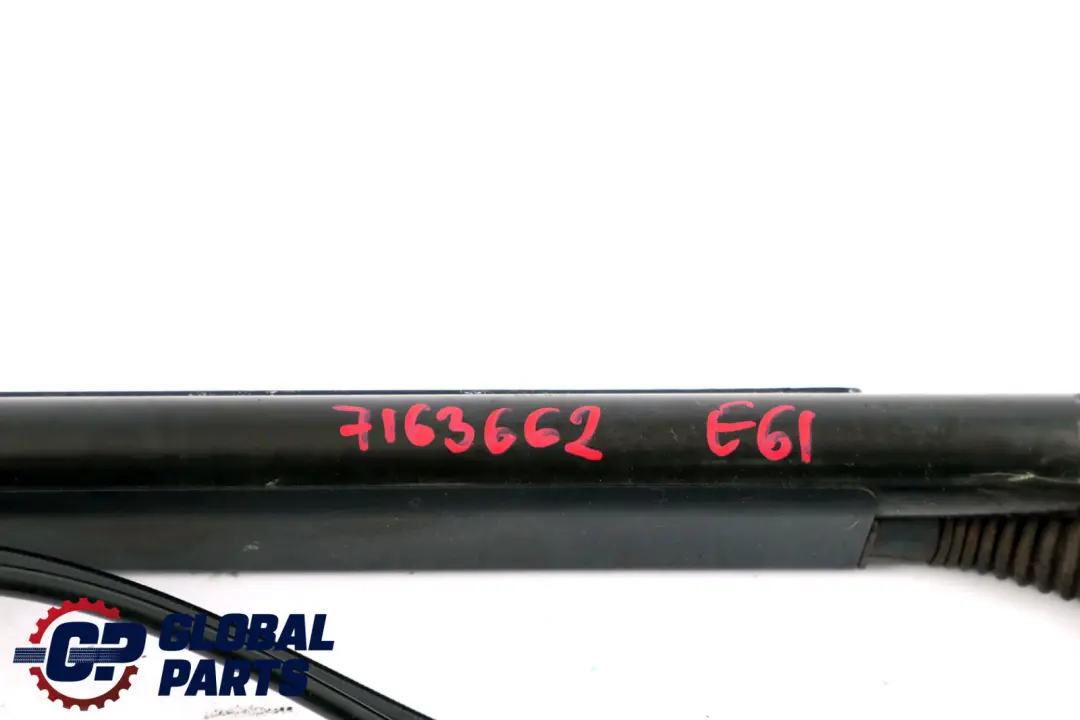 Trunk Lid Tailgate Hydraulic Cylinder Rear to BMW E61 Touring Automatic with Part number 7163662 BMW E61 Touring Automatic Trunk Lid Tailgate Hydraulic Cylinder Rear - SKU 7163662 - Part number 7163662