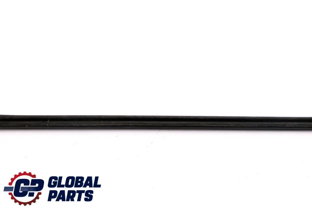 BMW E81 E82 E88 Schachtabdichtung Interno Porta Anteriore Sinistra - SKU 7164939 - Numero di parte 7164939
