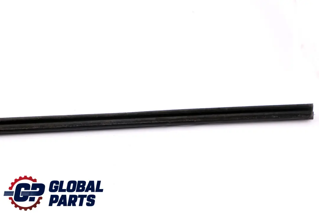 BMW E81 E82 E88 Schachtabdichtung Interno Porta Anteriore Sinistra - SKU 7164939 - Numero di parte 7164939