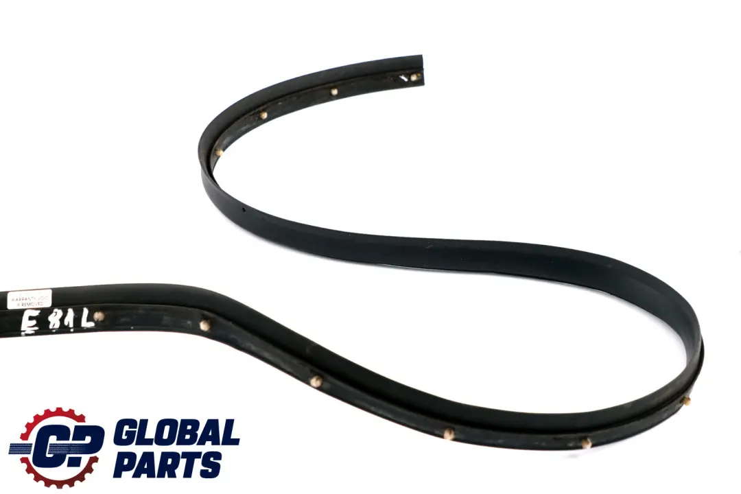 Puerta Junta Burlete Junta Delantera Izquierda para BMW E81 E82 E88 con número de pieza 7164941 BMW E81 E82 E88 Puerta Junta Burlete Junta Delantera Izquierda - SKU 7164941 - Número de pieza 7164941