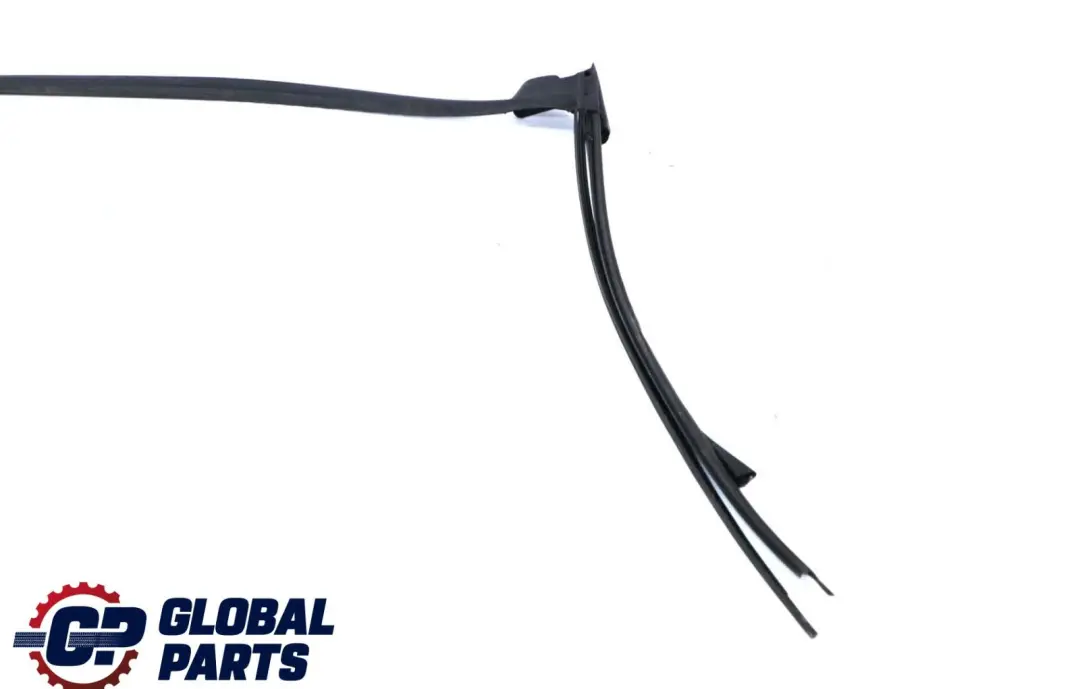 BMW E88 Convertible Sello Junta Parabrisas Panel Frontal - SKU 7164997 - Número de pieza 7164997