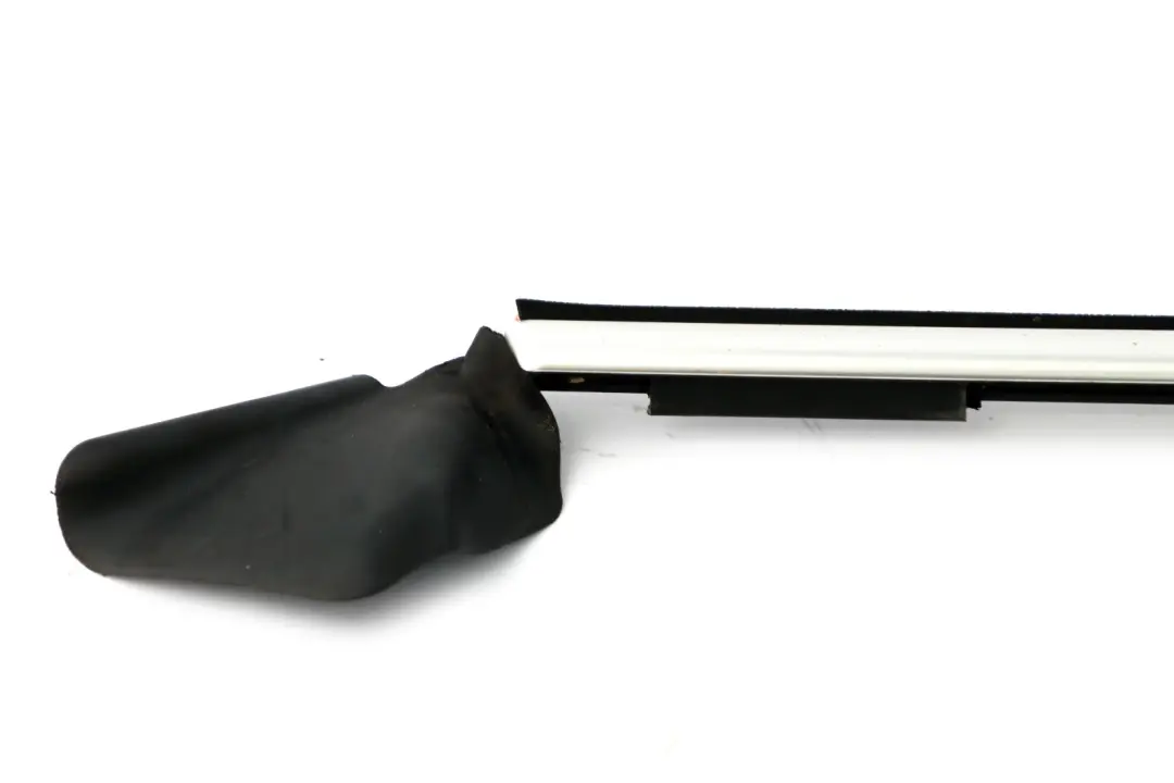 BMW E88 Gauche Bandes d'habillage extérieur Alu Mat - SKU 7165001 - Numéro de pièce 7165001