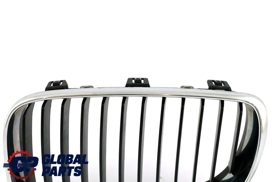 BMW E81 E82 E87 LCI E88 Griglia Anteriore Sinistra SE Trim - SKU 7166439 - Numero di parte 51137166439