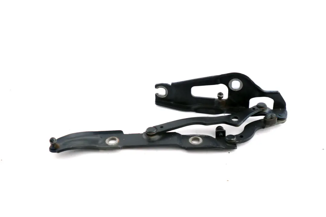 BMW E82 E88 Cardine Portellone SX N/S Blu - SKU 7166751-1 - Numero di parte 7166751