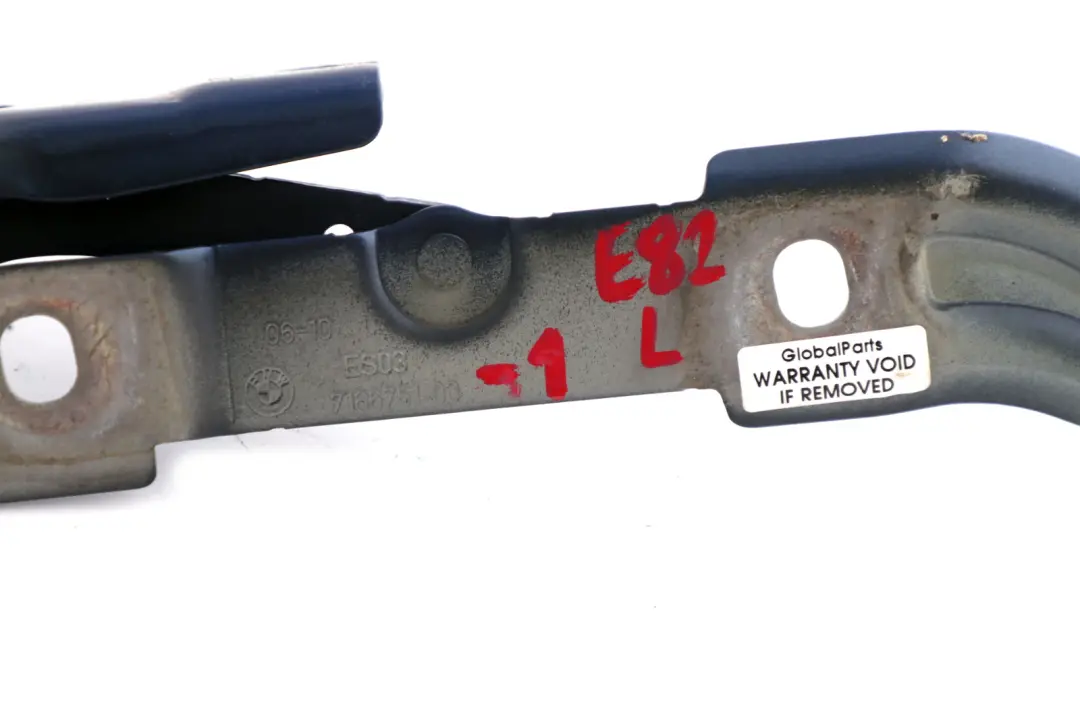 Cardine Portellone SX N/S Blu per BMW E82 E88 con numero di parte 7166751 BMW E82 E88 Cardine Portellone SX N/S Blu - SKU 7166751-1 - Numero di parte 7166751