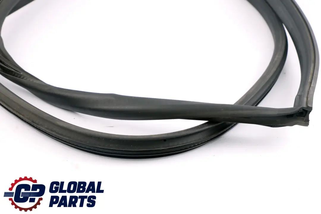 Junta Sellado Puerta Delantera Izquierda para Mini Cooper One Clubman R55 con número de pieza 7167217 Mini Cooper One Clubman R55 Junta Sellado Puerta Delantera Izquierda - SKU 7167217 - Número de pieza 7167217