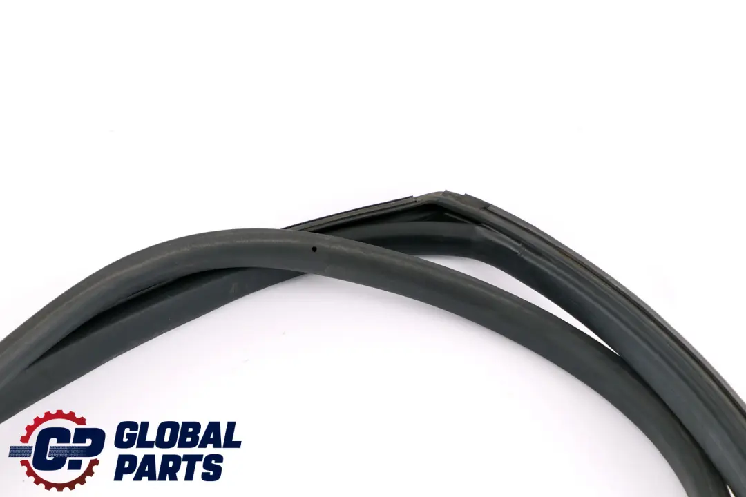 MINI Cooper One Clubman R55 Front Left N/S Door Seal Gasket Sealing - SKU 7167217 - Part number 7167217