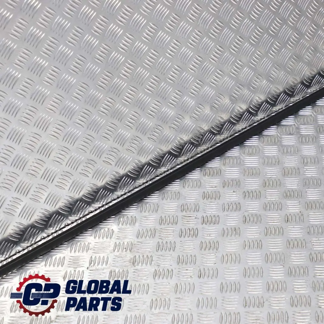 Mini Clubman R55 Left N/S Roof Moulding Railing Gutter Trim Strip - SKU 7167221 - Part number 7167221