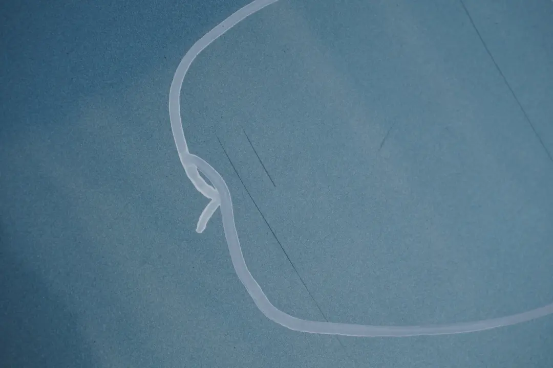 BMW 3 SERIES E92 Coupé Tailgate Boot Lid Rear Lid Atlantikblau Atlantic Blue A13 - SKU 7168515-ATL - Part number 7168515