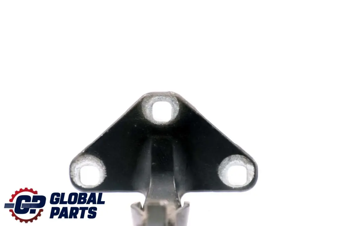 BMW X5 Series E70 Boot Trunk Lid Lower Hinge Left Right N/O/S Black Sapphire - SKU 7170918-BS - Part number 7170918