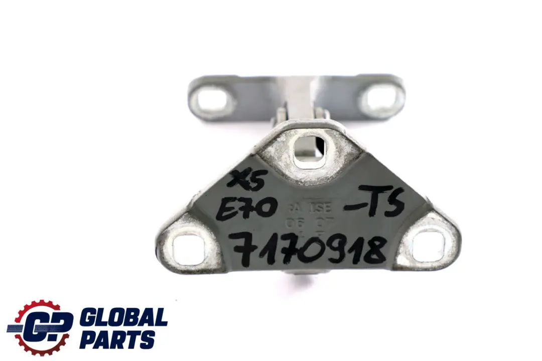 Cardine Portellone Inferiore Destro SX Argento-Titanio Metallico per BMW X5 E70 con numero di parte 7170918 BMW X5 E70 Cardine Portellone Inferiore Destro SX Argento-Titanio Metallico - SKU 7170918-TS - Numero di parte 7170918