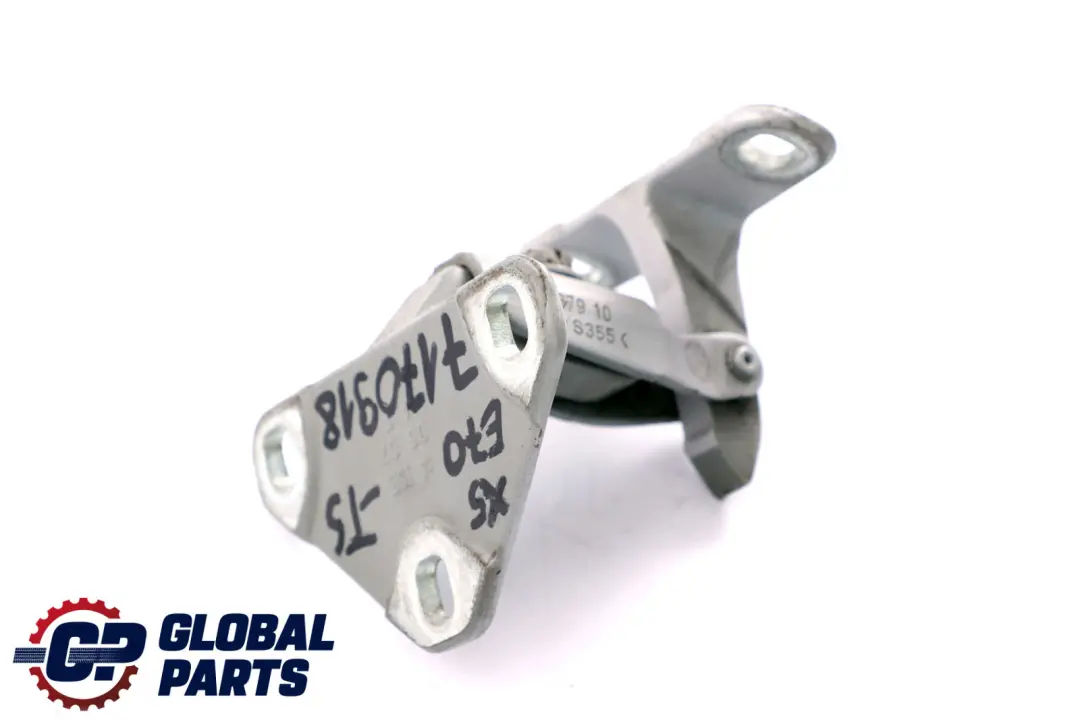 BMW X5 E70 Cardine Portellone Inferiore Destro SX Argento-Titanio Metallico - SKU 7170918-TS - Numero di parte 7170918