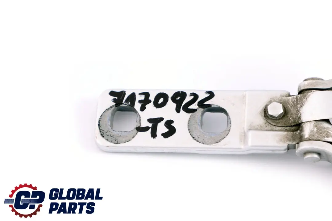 Scharnier Kofferraumdeckel oben rechts Titansilber Metallic für BMW X5 E70 mit Teilenummer 7170922 BMW X5 E70 Scharnier Kofferraumdeckel oben rechts Titansilber Metallic - SKU 7170922-TS - Teilenummer 7170922