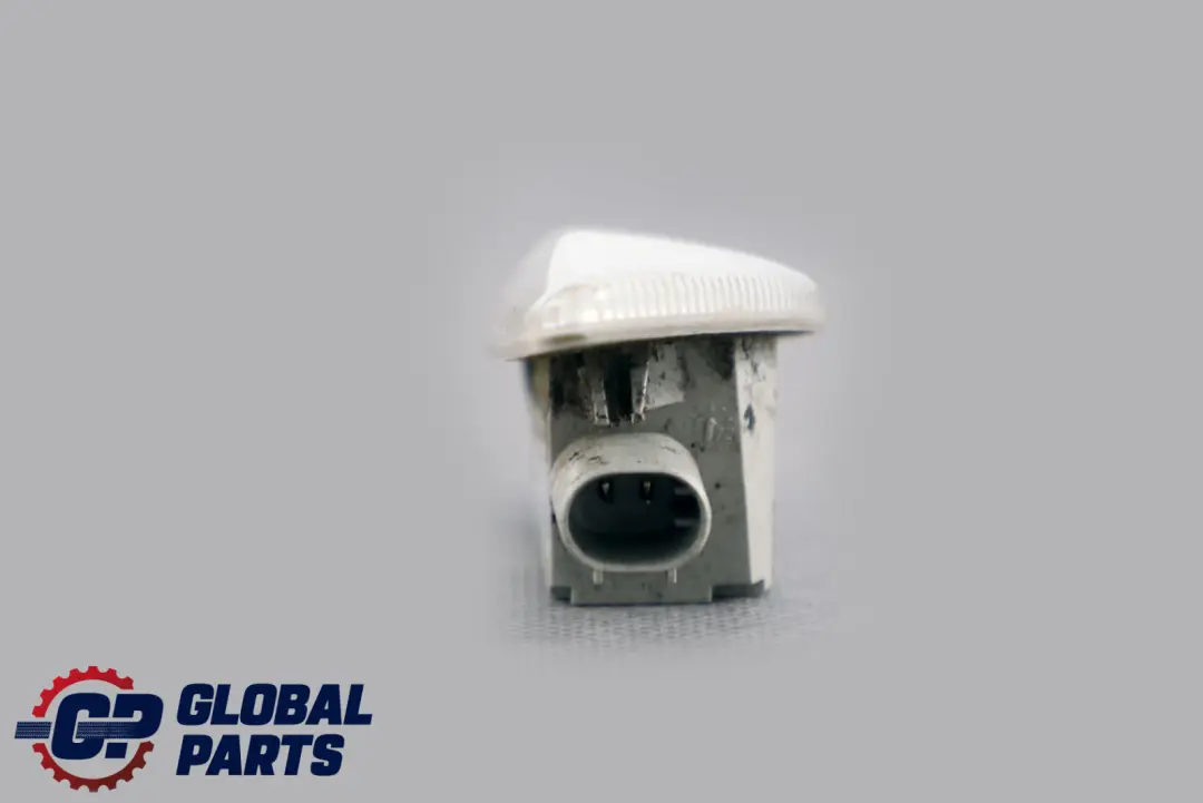 Zusatzblinkleuchte Links BMW X5 X6 er E70 E71 - SKU 7171007 - Teilenummer 7171007