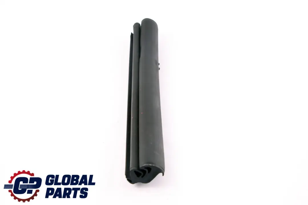 Fensterführung Mitte Links für BMW 1 er E88 mit Teilenummer 7174775 BMW 1 er E88 Fensterführung Mitte Links - SKU 7174775 - Teilenummer 7174775